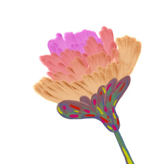 colorful flower draw with oil brush texture in hot tone
