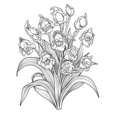 Cute Lily of the Valley flower in coloring page style illustration. Line art painting. Generative AI