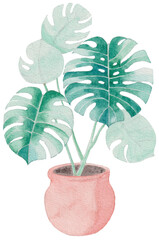 Watercolor hand painted monstera