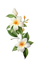 Fototapeta na wymiar Jasmine flower isolated on white background. Beautiful blooming plant. Generative AI