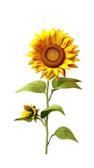 Sunflower flower isolated on white background. Beautiful blooming plant. Generative AI