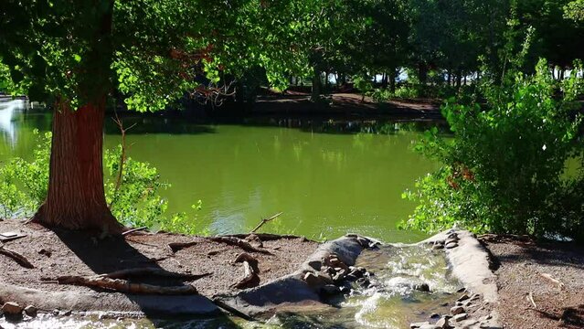  Babbling stream at Tule springs 