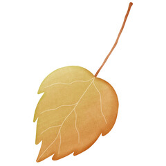 Fototapeta premium Autumn leaves 