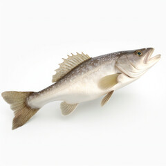 Cod fish on white background. 3D illustration digital art design, generative AI