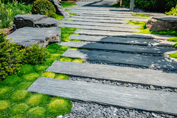Conifer and slate path with bark mulch and native plants in Japanese garden. Landscaping and...