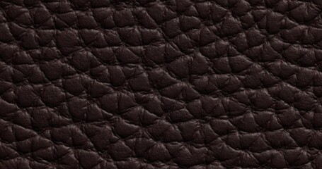 Different colors of skin samples quickly change. Texture different color background