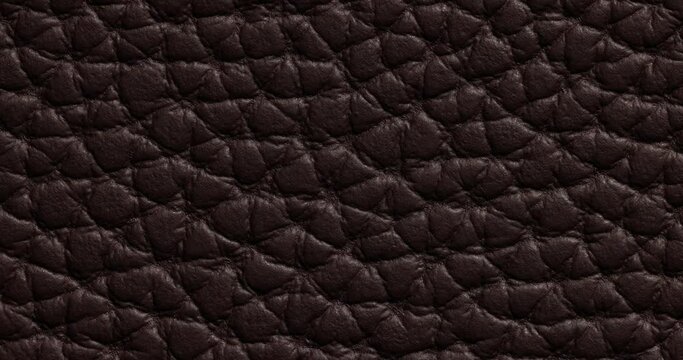 Different colors of skin samples quickly change. Texture different color background