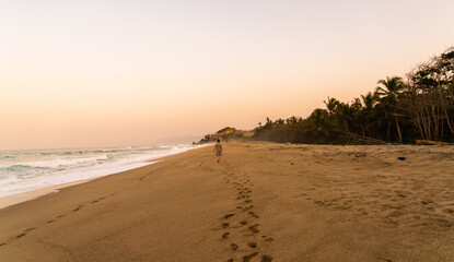 person walking on the beach in sunset with palm tree landscape in Park Tayrona Santa Marta Colombia