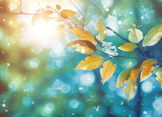 sunny fall background in autumn. copy space for greeting.