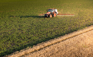 Farmer on a tractor spraying soybean field at sunset drone view.