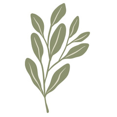  Hand-draw leaves in gouache digital illustration style