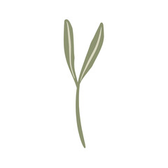  Hand-draw leaves in gouache digital illustration style