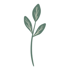  Hand-draw leaves in gouache digital illustration style