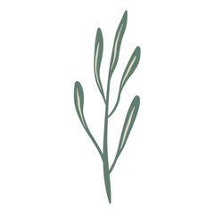  Hand-draw leaves in gouache digital illustration style