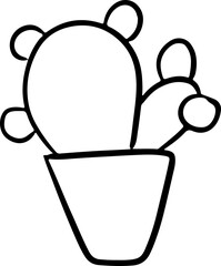 Cactus plants succulent nature