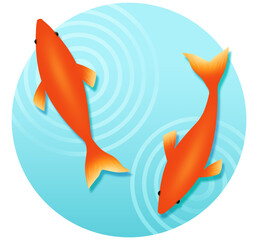 金魚　イラスト素材