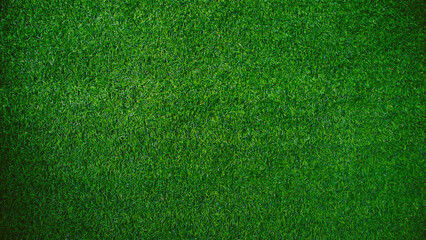 Green grass texture background grass garden concept used for making green background football pitch, Grass Golf, green lawn pattern textured background......