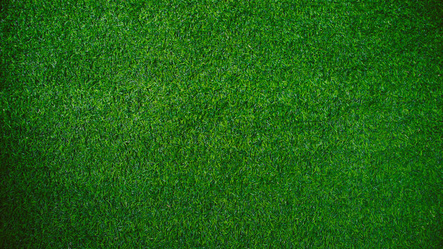 Green grass texture background grass garden concept used for making green background football pitch, Grass Golf, green lawn pattern textured background...... © Sittipol 