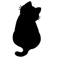 black cat silhouette