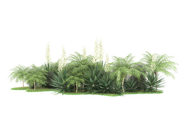 Tropical forest isolated on transparent background. 3d rendering - illustration