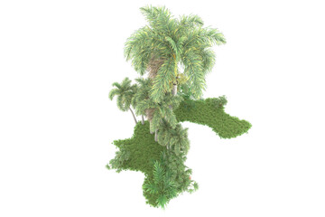 Tropical forest isolated on transparent background. 3d rendering - illustration