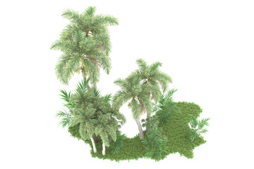 Tropical forest isolated on transparent background. 3d rendering - illustration