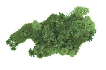 Obraz premium Tropical forest isolated on transparent background. 3d rendering - illustration