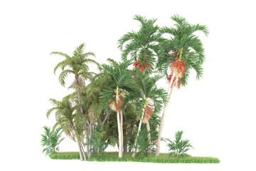 Fototapeta na wymiar Tropical forest isolated on transparent background. 3d rendering - illustration
