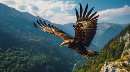 Naklejka na ściany i meble An adult bald eagle (Haliaeetus leucocephalus), Alaska, United States of America, North America. Generative AI
