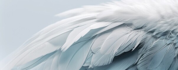 Abstract gentle natural macro banner background with white bird feathers. Ai generative.