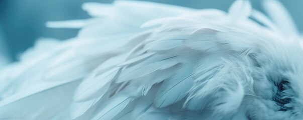 Abstract gentle natural macro banner background with white bird feathers. Ai generative.