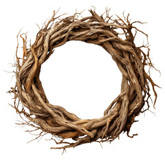 circle of tree roots isolated on transparent background cutout , generative ai