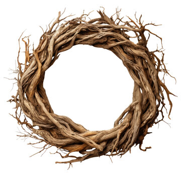 circle of tree roots isolated on transparent background cutout , generative ai