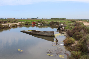 Boats cemetery at Delta de l'Ebre. Abandoned old wooden boats.