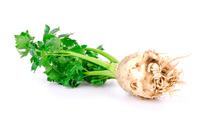 Celery isolated on white background.