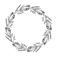 Ink hand drawn vector graphic sketch illustration. Flower circle wreath of thistle branches with buds and leaves. Nature bloom vegetation. Design for tourism, travel, wedding, print, fabric, card