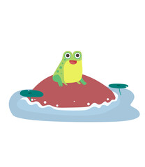 The frog is on the stone in the water