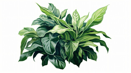 Naklejka na ściany i meble A green plant with a white background