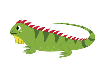 Cute iguana in cartoon style. Wild green lizard character isolated on white background. Reptile iguana element. Vector Illustration