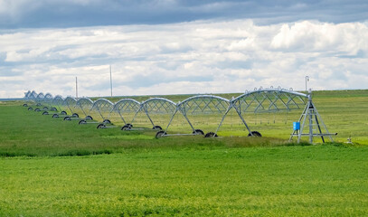 A spray water irrigation system at an agriculture facility farm in Lethbridge, Alberta, Canada.