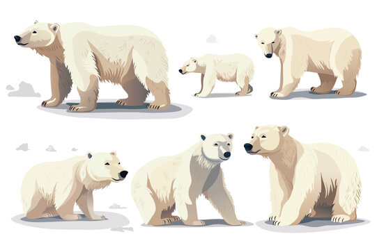 Bear set. Charming cartoon illustration featuring a set of adorable flat-design white bears, creatively designed with endearing expressions and playful poses. Vector illustration.