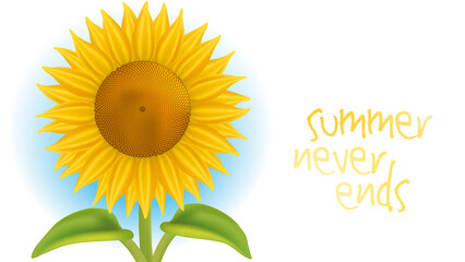 Summer never ends. Banner with a phrase about summer next to an illustration of a bright sunflower plant.