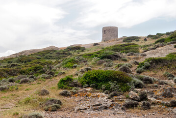 Fototapeta na wymiar Veduta della Torre Argentina sulla costa di Bosa