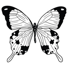 Embark on a whimsical journey with this captivating black-and-white butterfly design. Designed for coloring books, this enchanting artwork encourages children to bring butterflies to life.