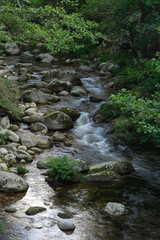 Fototapeta premium Canyon of the river Mao in the Ribeira Sacra, Ourense, Galicia, Spain