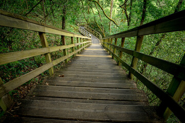 Fototapeta premium Wooden footpath in the canyon of the river Mao in the Ribeira Sacra, Ourense, Galicia, Spain