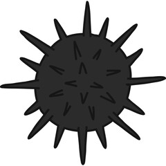 Sea urchin hand draw