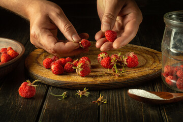 The chef prepares a drink from strawberries in a jar in the kitchen. Cleaning and sorting fragaria berries before filling with dill and adding sugar