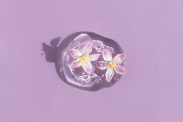 A drop of transparent cosmetic gel or serum with hyaluronic acid with pink flowers on a lilac background. The concept of natural cosmetics. Top view.