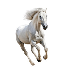 Obraz na płótnie Canvas running horse transparent background, png